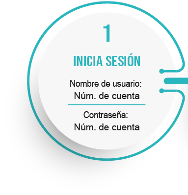 Paso 1: Inicia sesión