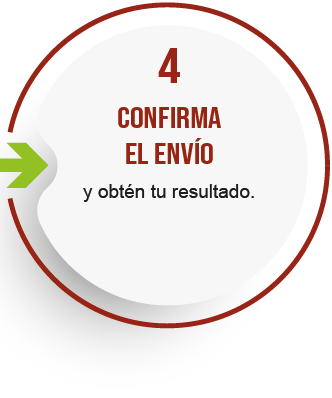 Paso 4: Confirma el envío y recibe el resultado